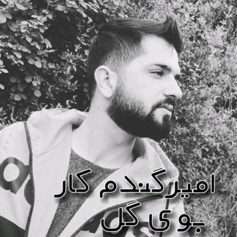 امیر گندم کار بوی گل